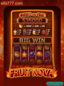 Descubra o Fascinante Mundo de FruitNova em elfa777.com